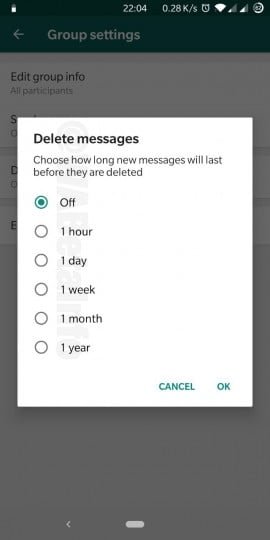 WhatsApp Adds Auto Delete Messages