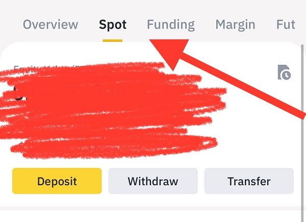 Binance Spot Wallet